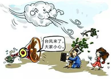 文本框: 台 风